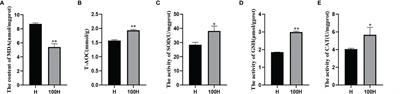 Antioxidant, Transcriptomic and Metabonomic Analysis of Hepatopancreatic Stress Resistance in Exopalaemon carinicauda Following Astaxanthin Feeding